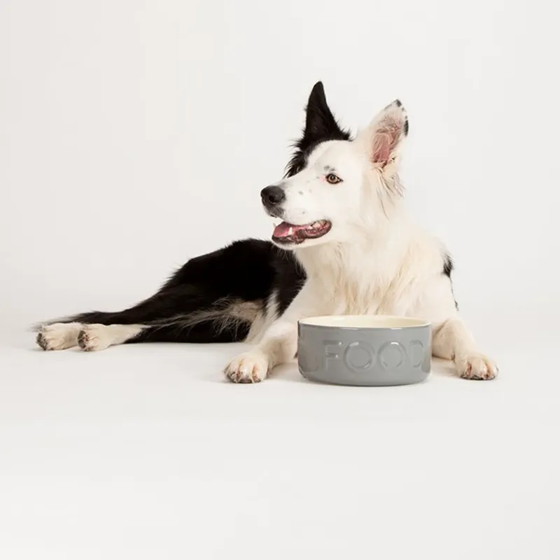 Scruffs Classic Food Bowl Grey-1